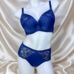 Premium Comfort Bra & Panty Romantic & Stylish Set